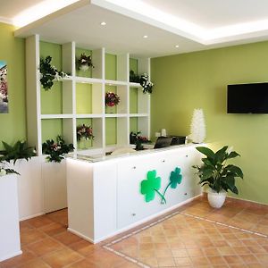 B&B Il Quadrifoglio Tropea